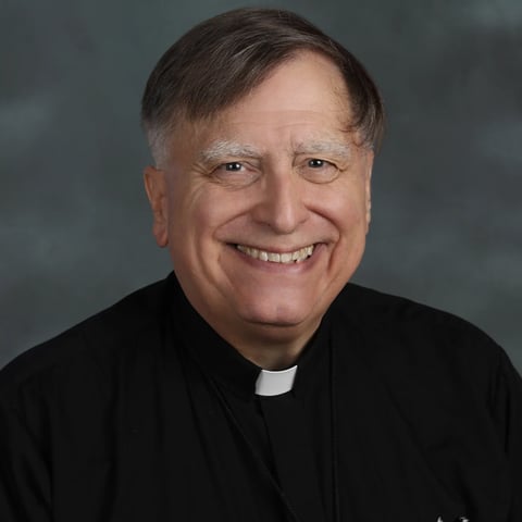 Smiling man in black clerical attire with white collar, professional headshot against gray background